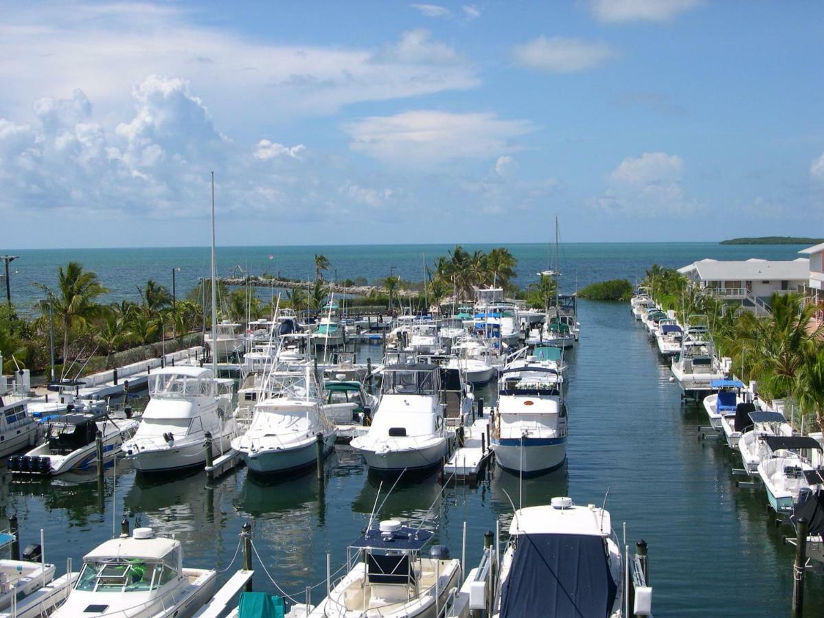 Licensed Mgr - Modern Oceanfront Condo! Beautiful Ocean Views! Beach Resort! 2 King Beds! キーラーゴ エクステリア 写真